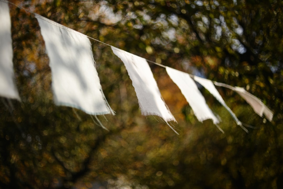 The Ultimate Guide to Inviting Guests Effectively